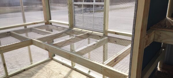 Miller's Greenhouse - Image 7