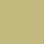 rollin beige