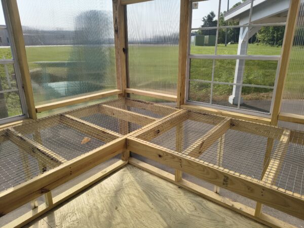 Greenhouse - Image 3